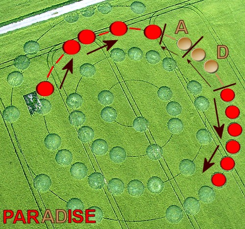 PARADISE