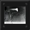 21 juillet 1969 ESPACE. Aldrin et Collins confirmrent qu'en route pour la Lune ils virent un norme engin cylindrique gravitant entre leur capsule et le sol lunaire.